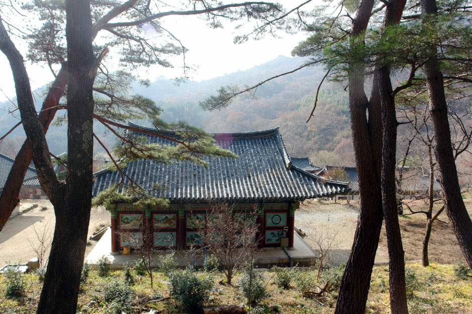 여름아겨울아식품 이미지