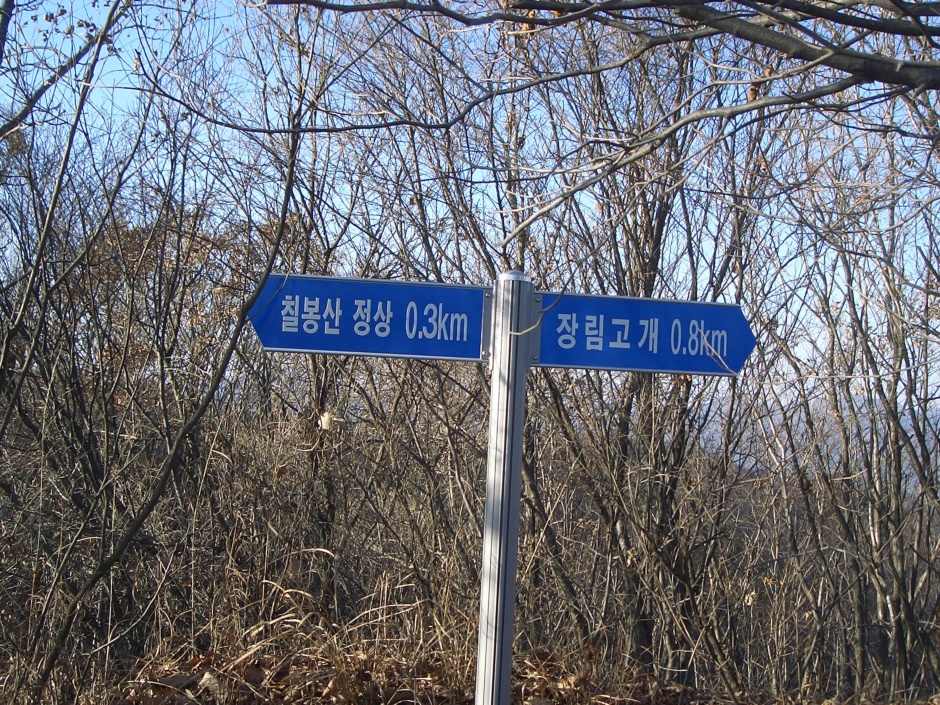 천보상회 이미지