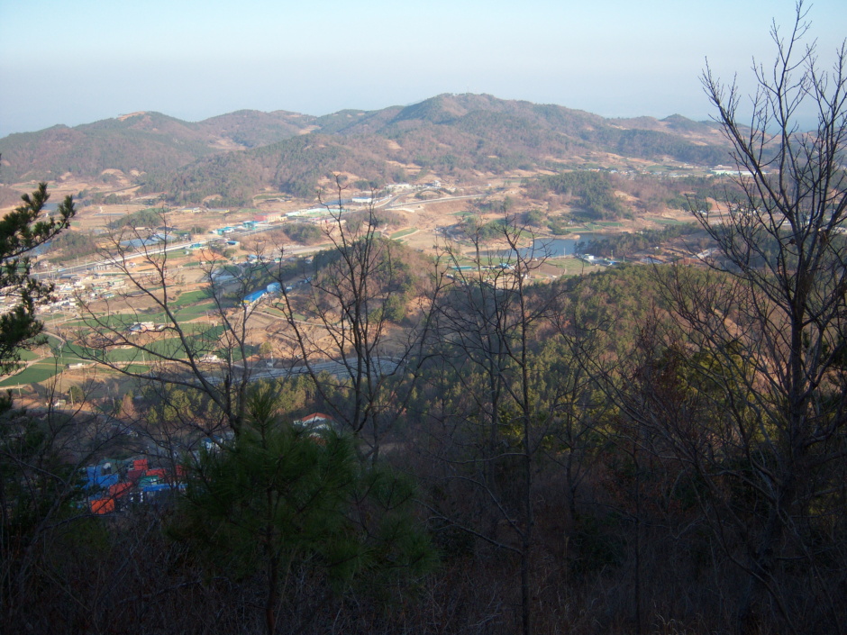 비봉산주유소 이미지