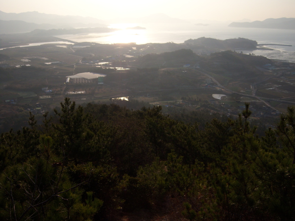 비봉산주유소 이미지
