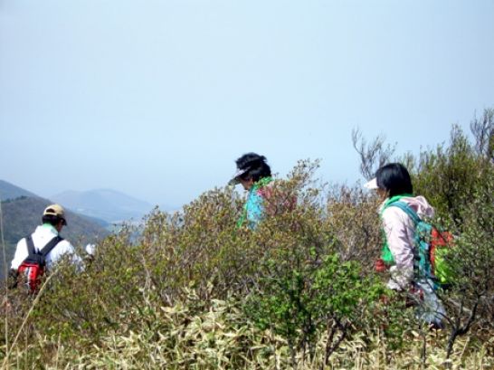 한국가정법률상담소제주지부 이미지