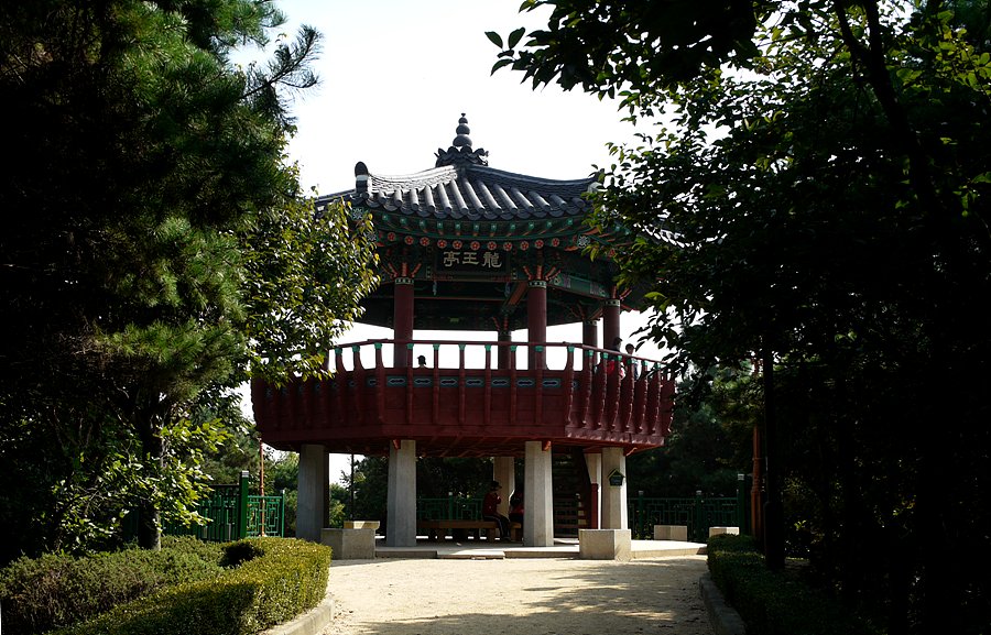 정자 이미지