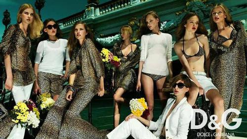 D&G 이미지