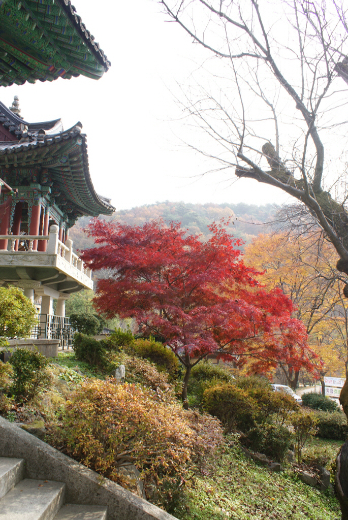 광덕사 이미지