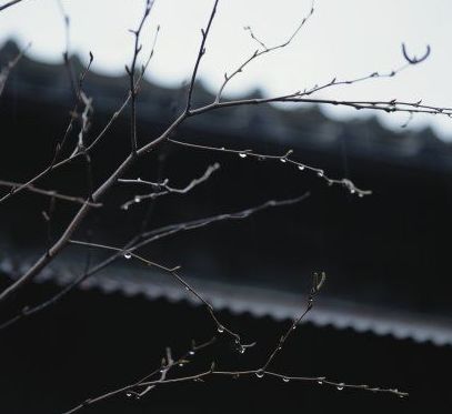 박*래 이미지