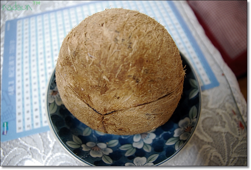 야자 이미지