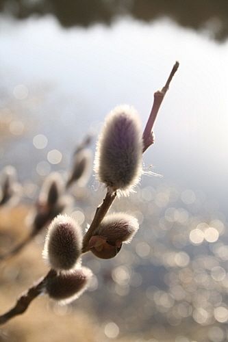 행복컴퓨터 이미지