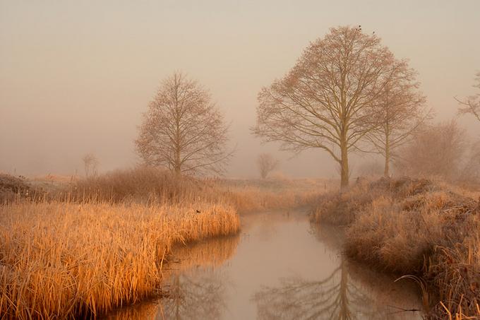 ♬Silent Stream(작은 시냇가)♬T. S. Nam♬