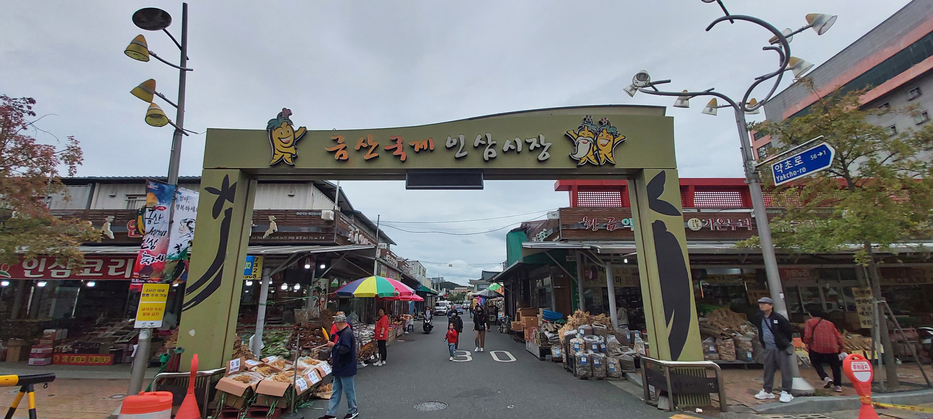 금산인삼축제 알차게 즐기는 법