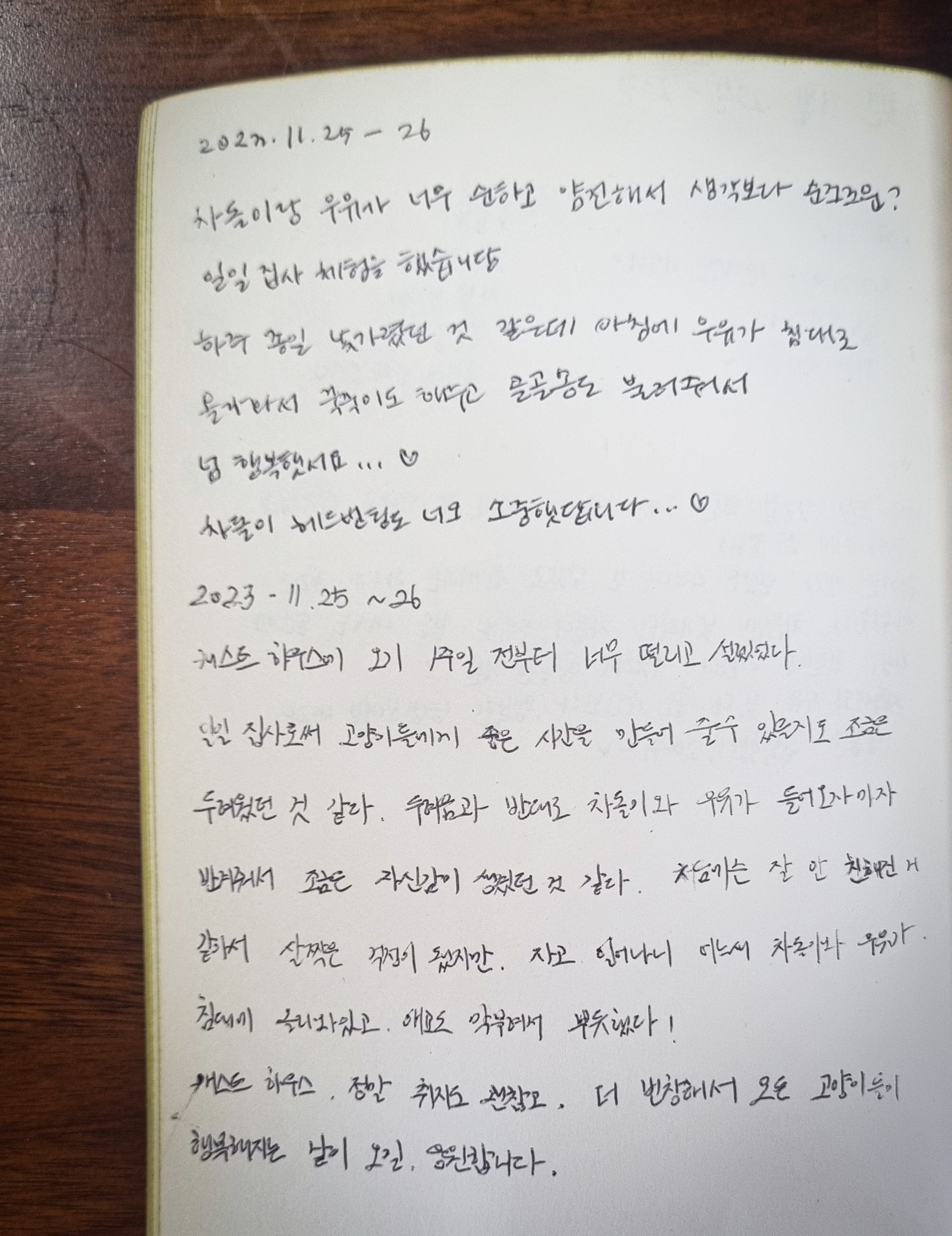 김*래 이미지