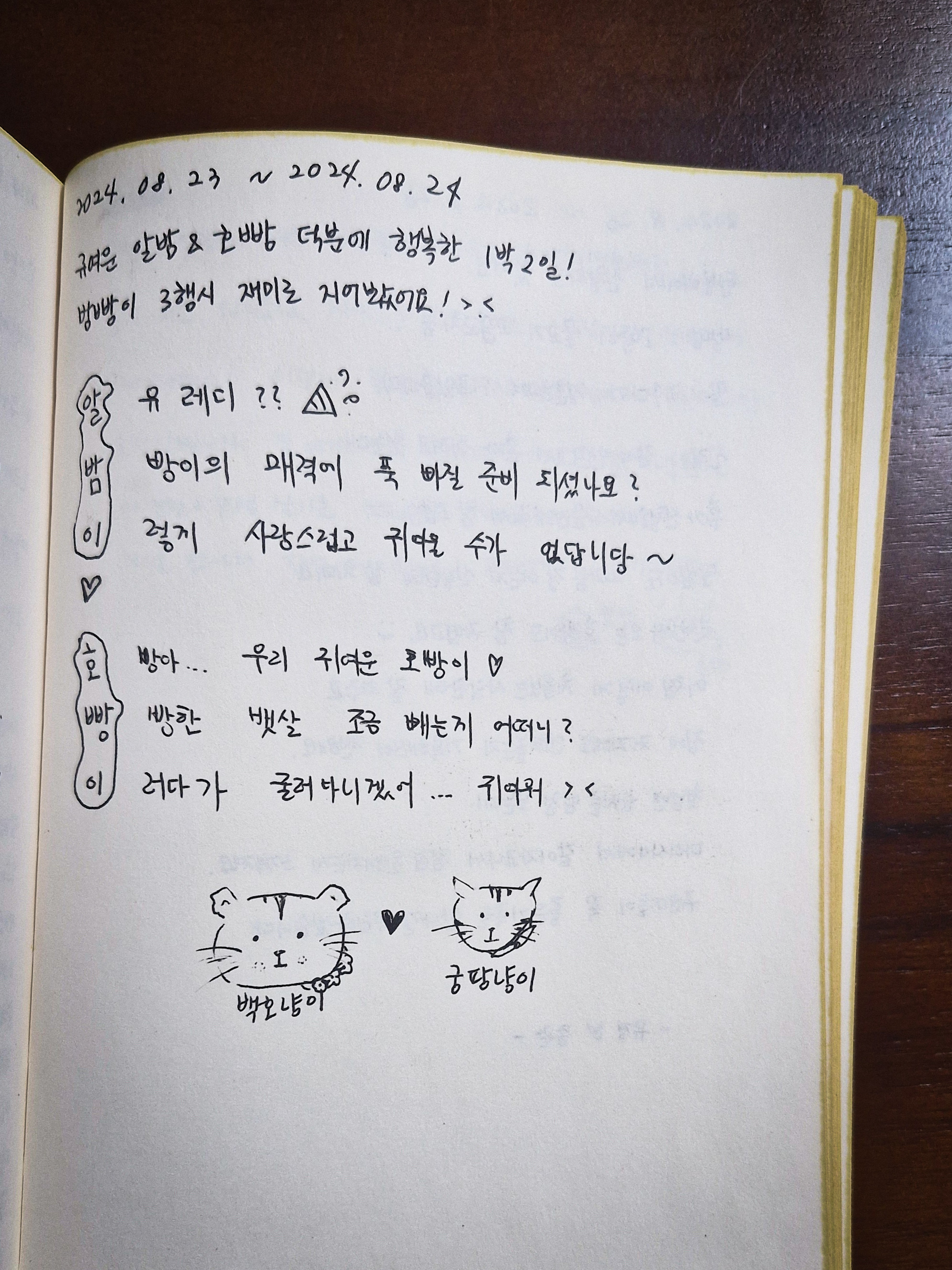 조*진 이미지