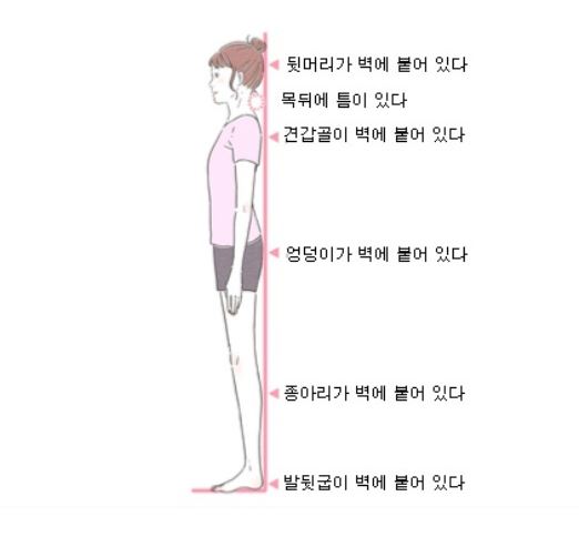 벽에 등 붙이기를 실시한다!