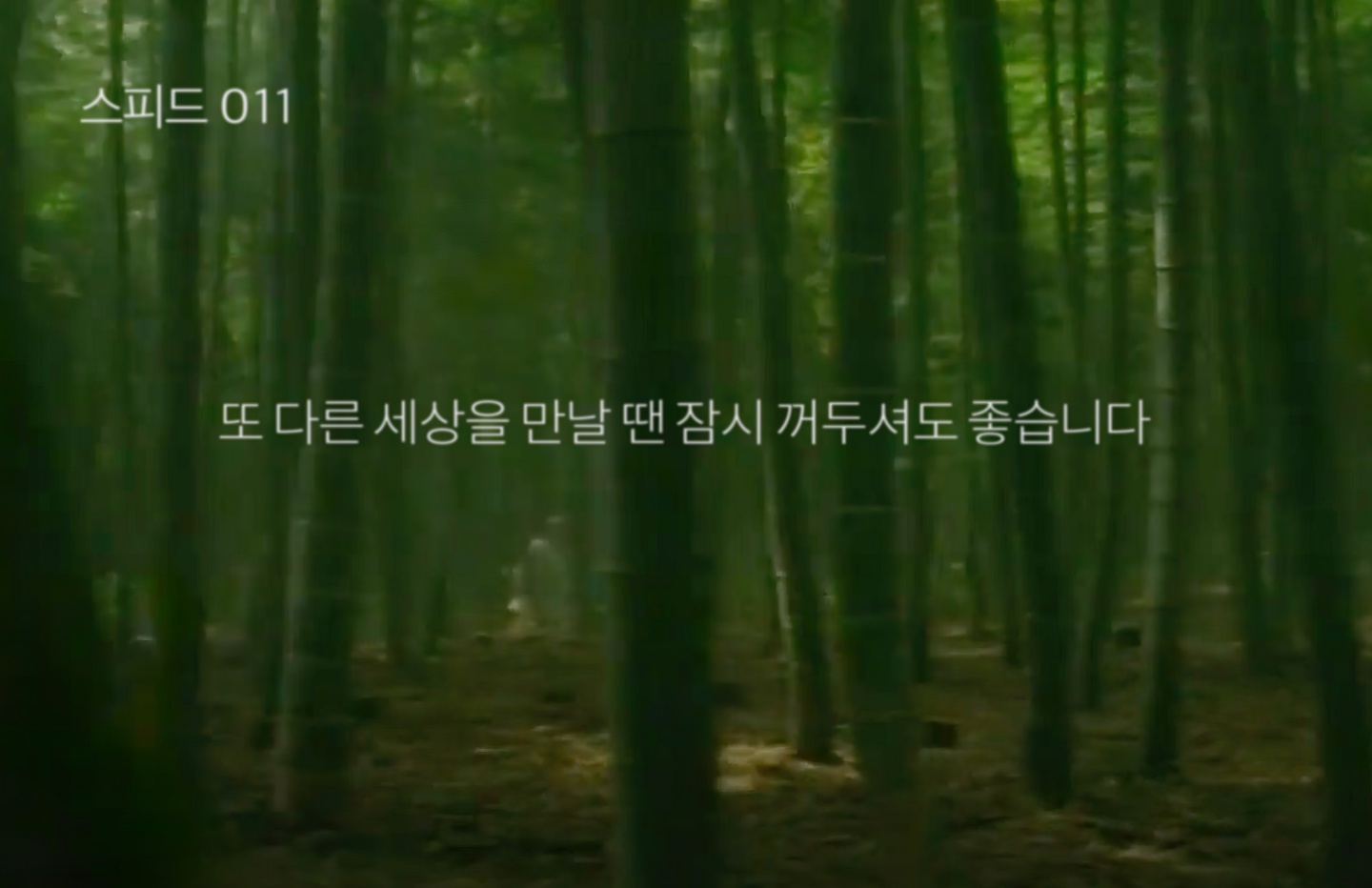 스피드텔레콤 이미지