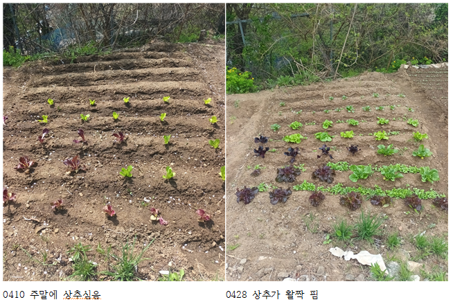봄:하루 이미지