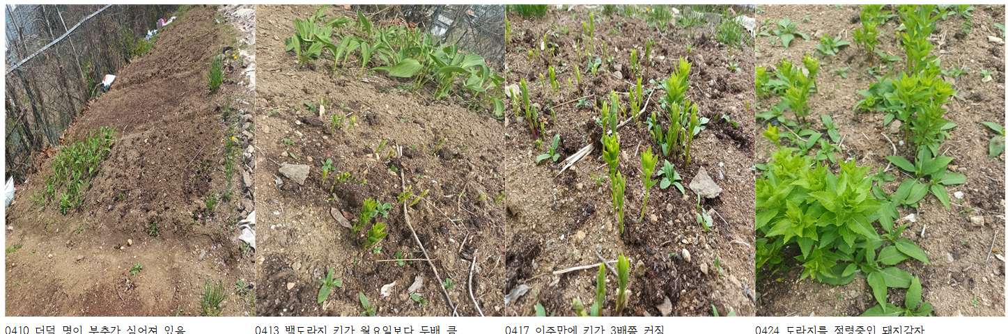 봄:하루 이미지