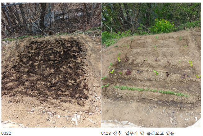 봄:하루 이미지