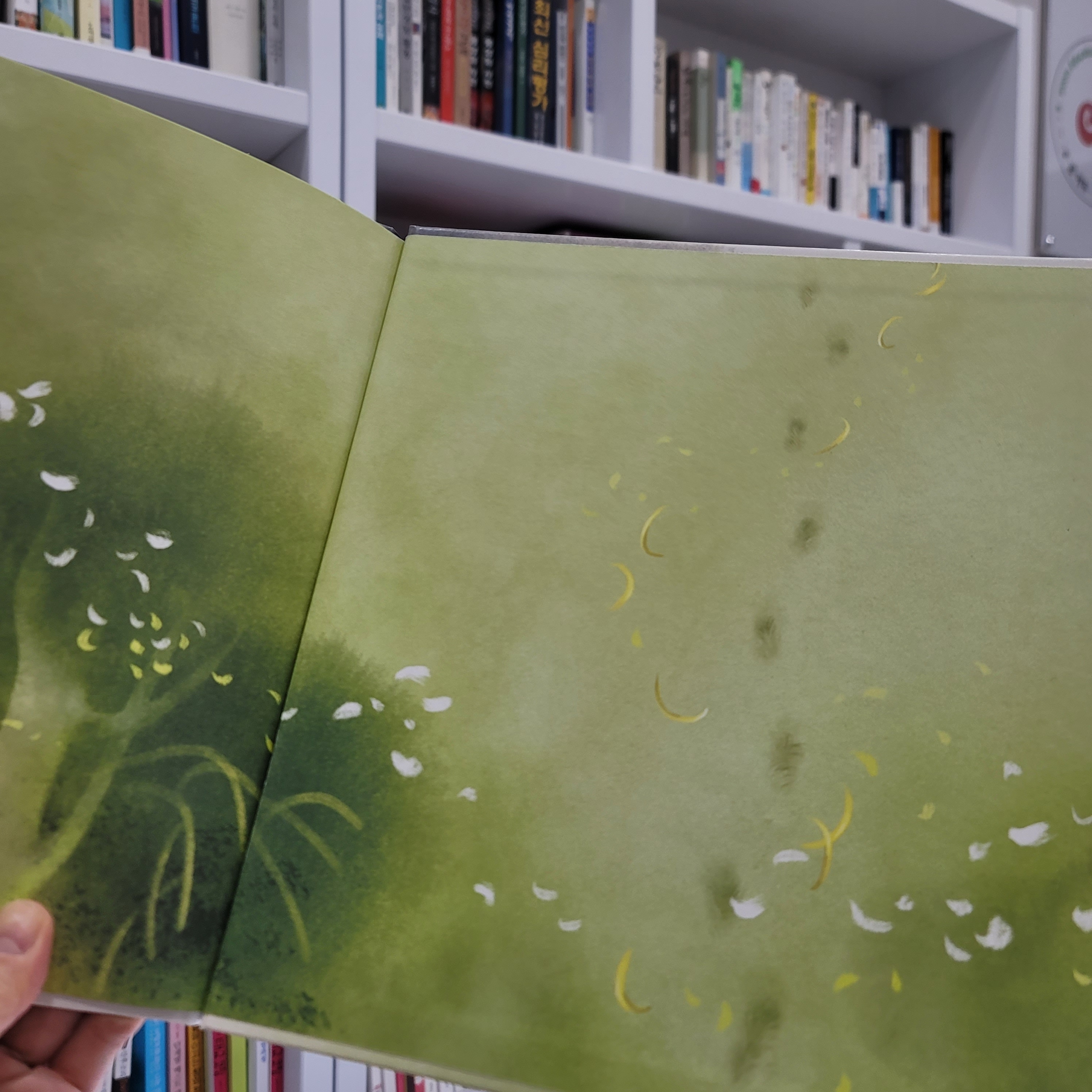 [3월 그림책리터러시] 기억의 숲을 지나