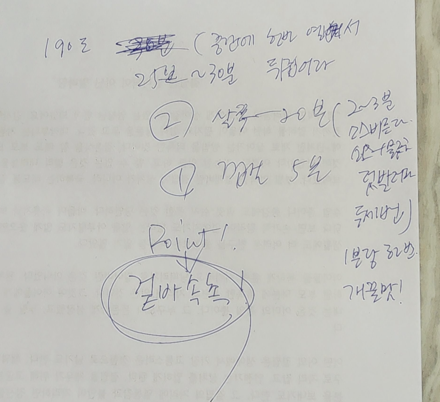 비장한장어 이미지