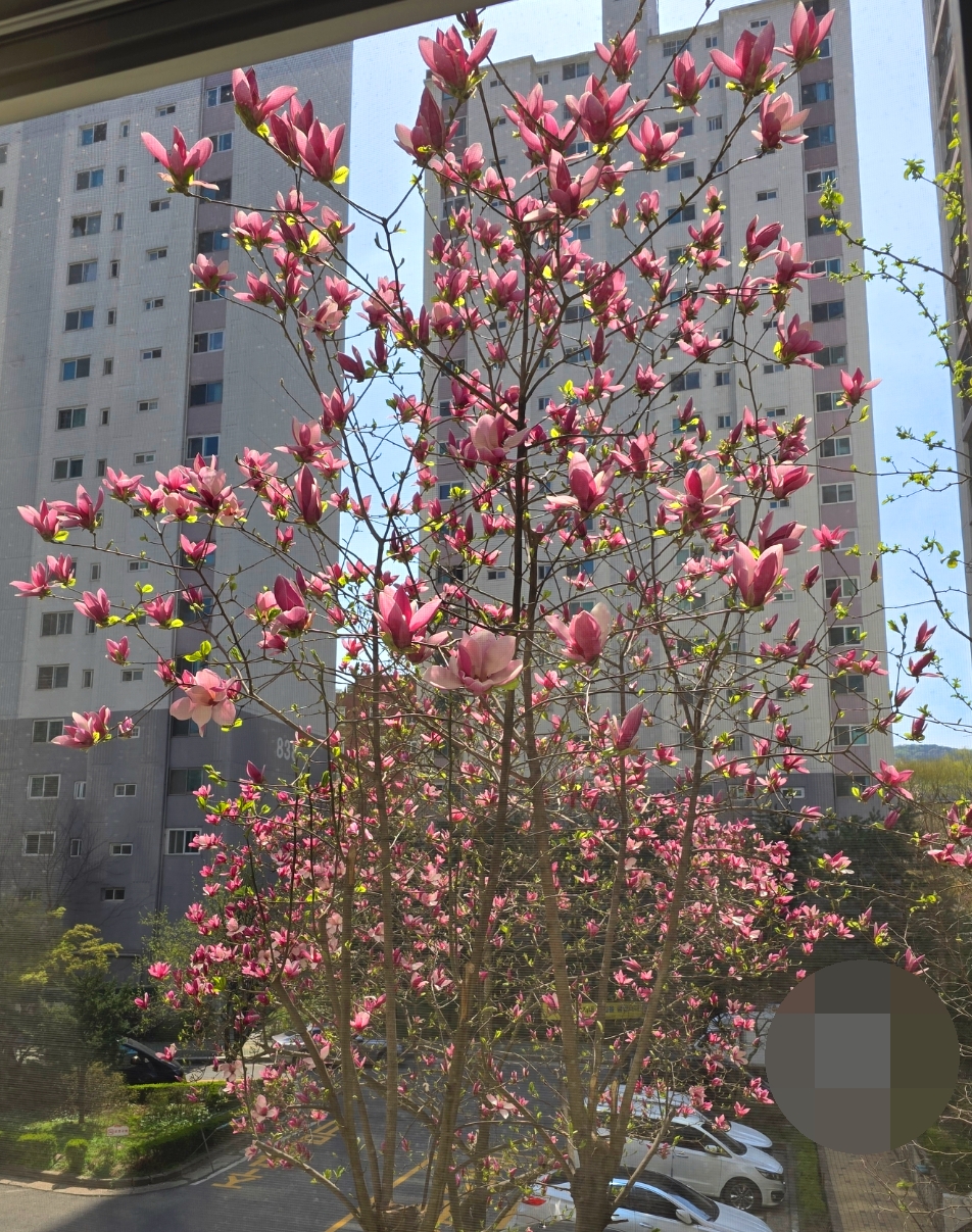 <봄> 신축 현장