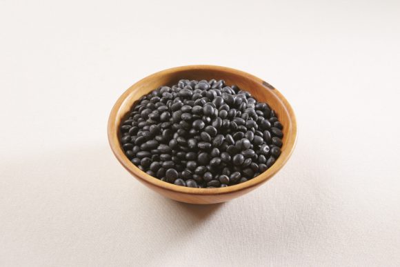 콩과하 이미지