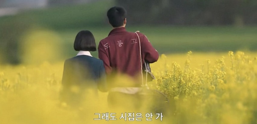 시시비비 이미지