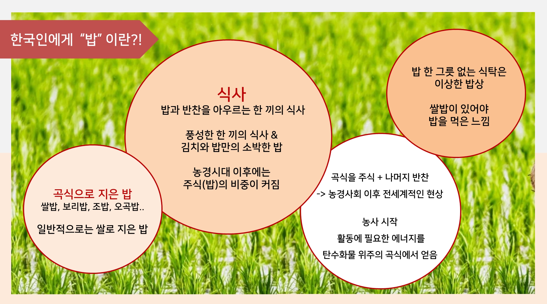 한국인은밥심으로 이미지