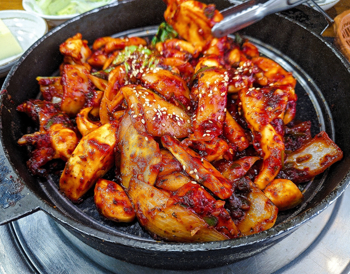 29화 딸들 델구 꼭 다시 가고픈 맛집 <조가네갑오징어>
