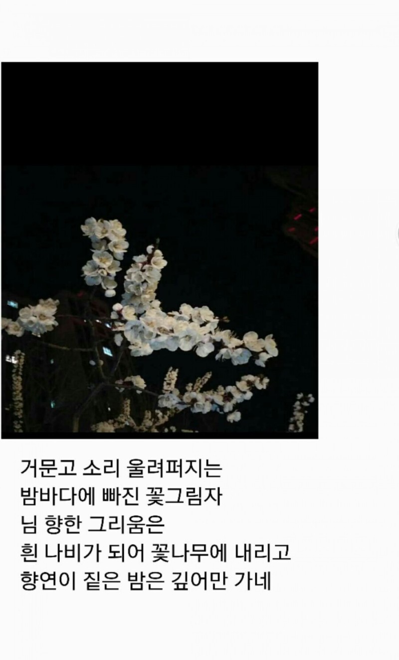 카시가 이미지