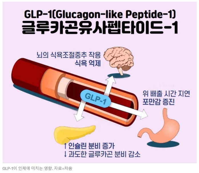 위고비'가 비만에서 당신을 구원해 줄 것인가?
