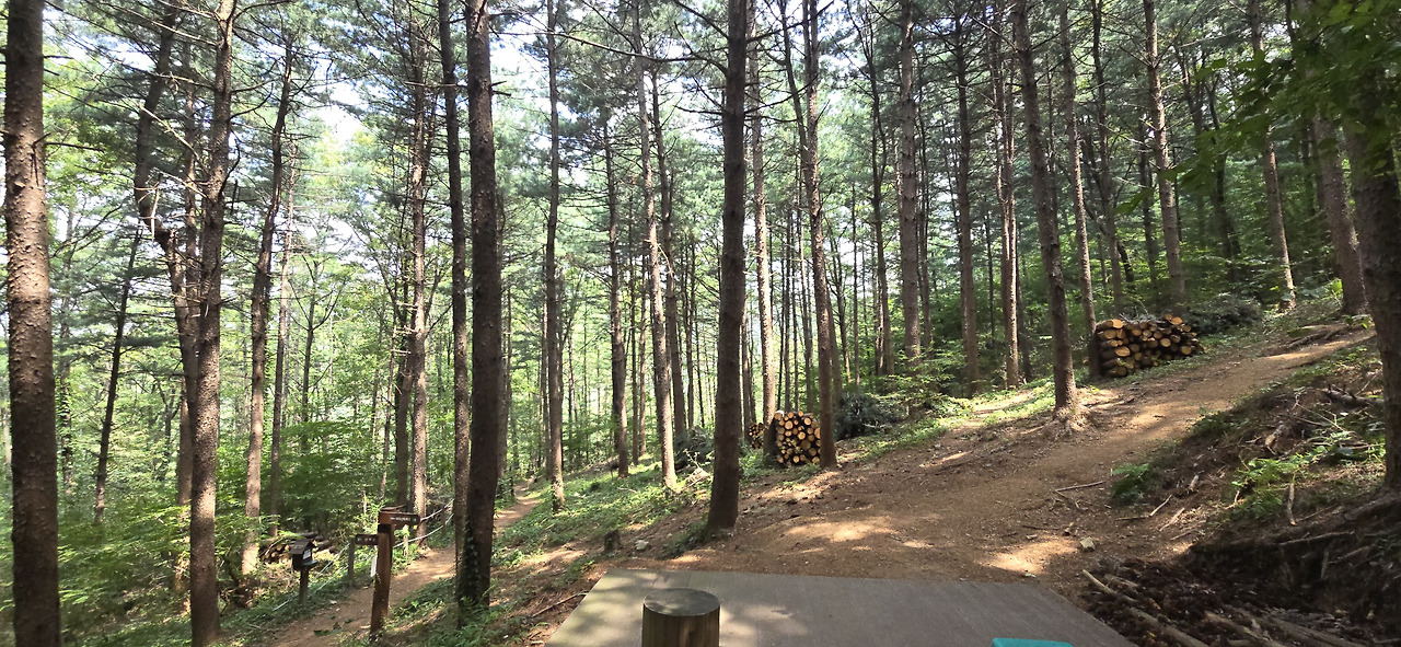 바라산 숲길 탐구