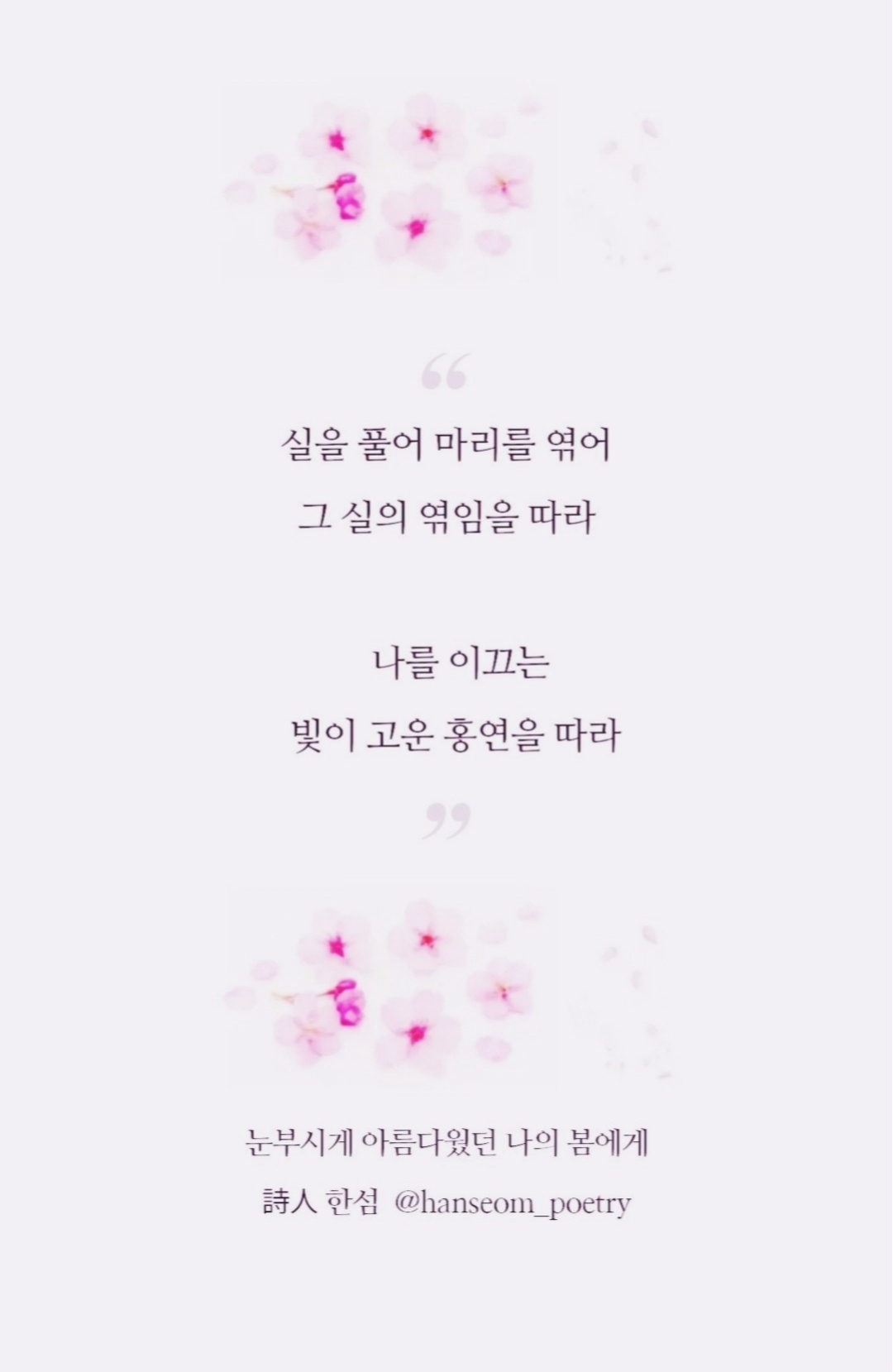 [홍연과 인연의 시] 실을 풀어 마리를 엮어