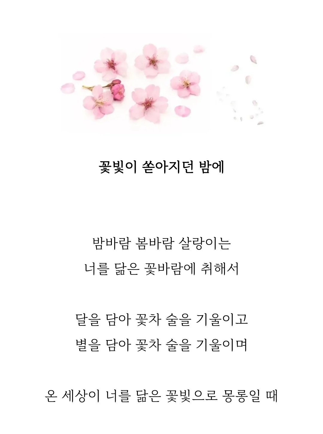 온 세상이 너를 닮은 꽃빛으로 반짝일 때