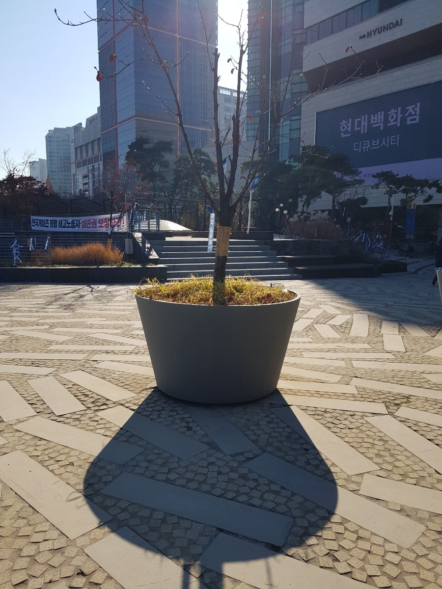 시선 이미지