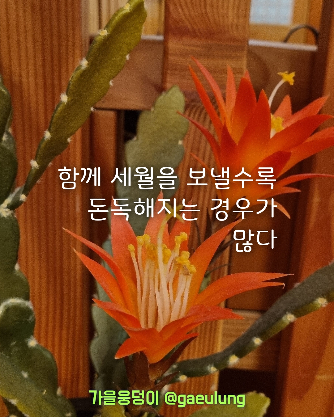 8년 차 기계들