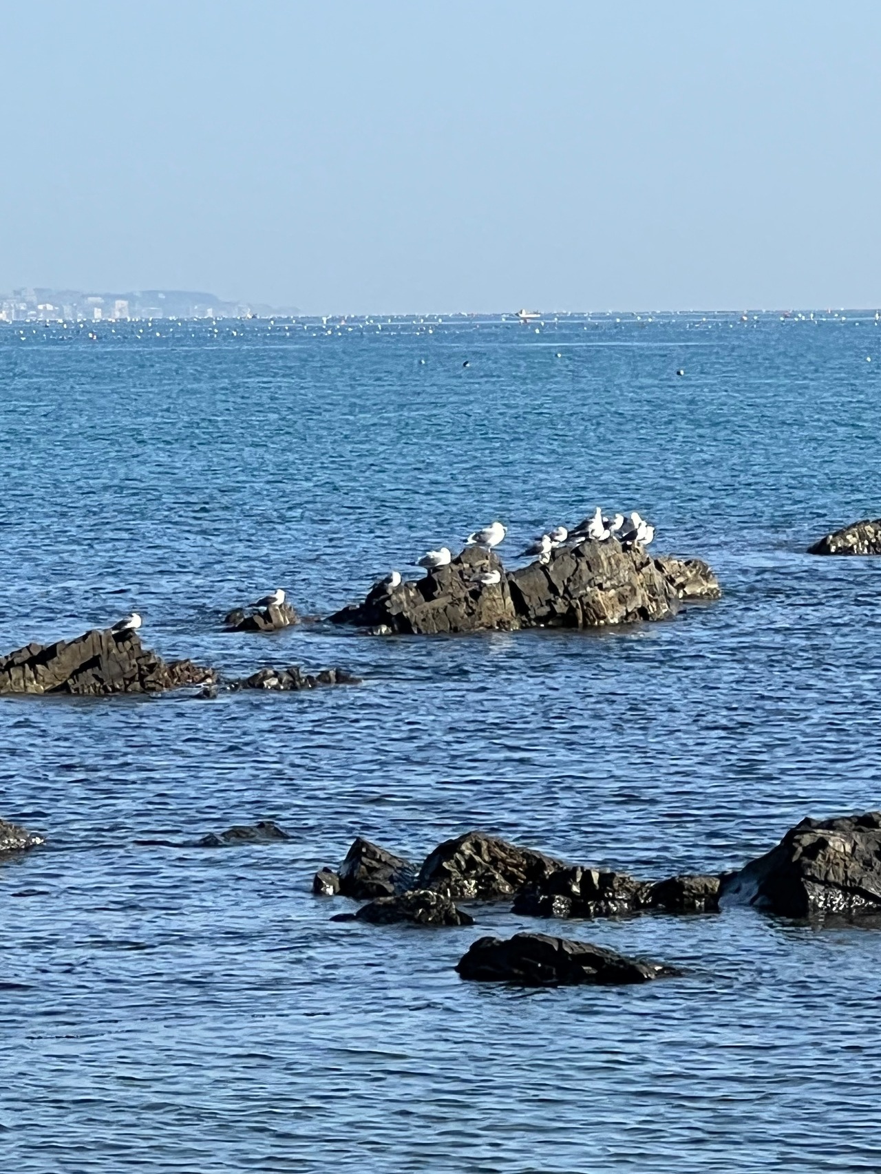 06화 본심(本心)