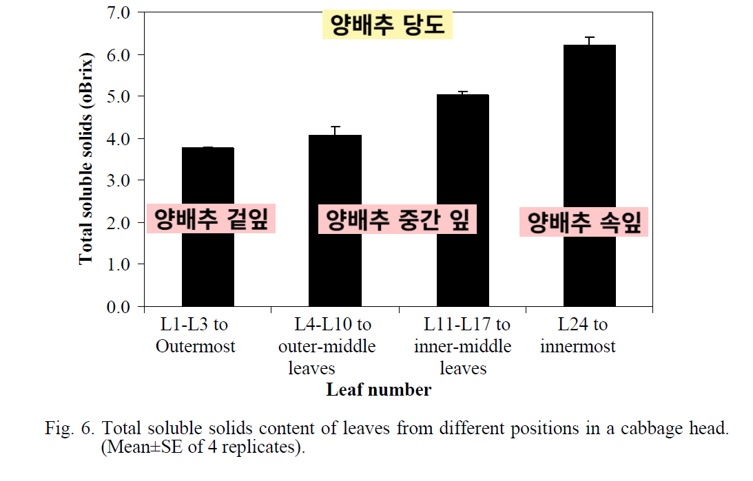 의사의식탁 이미지