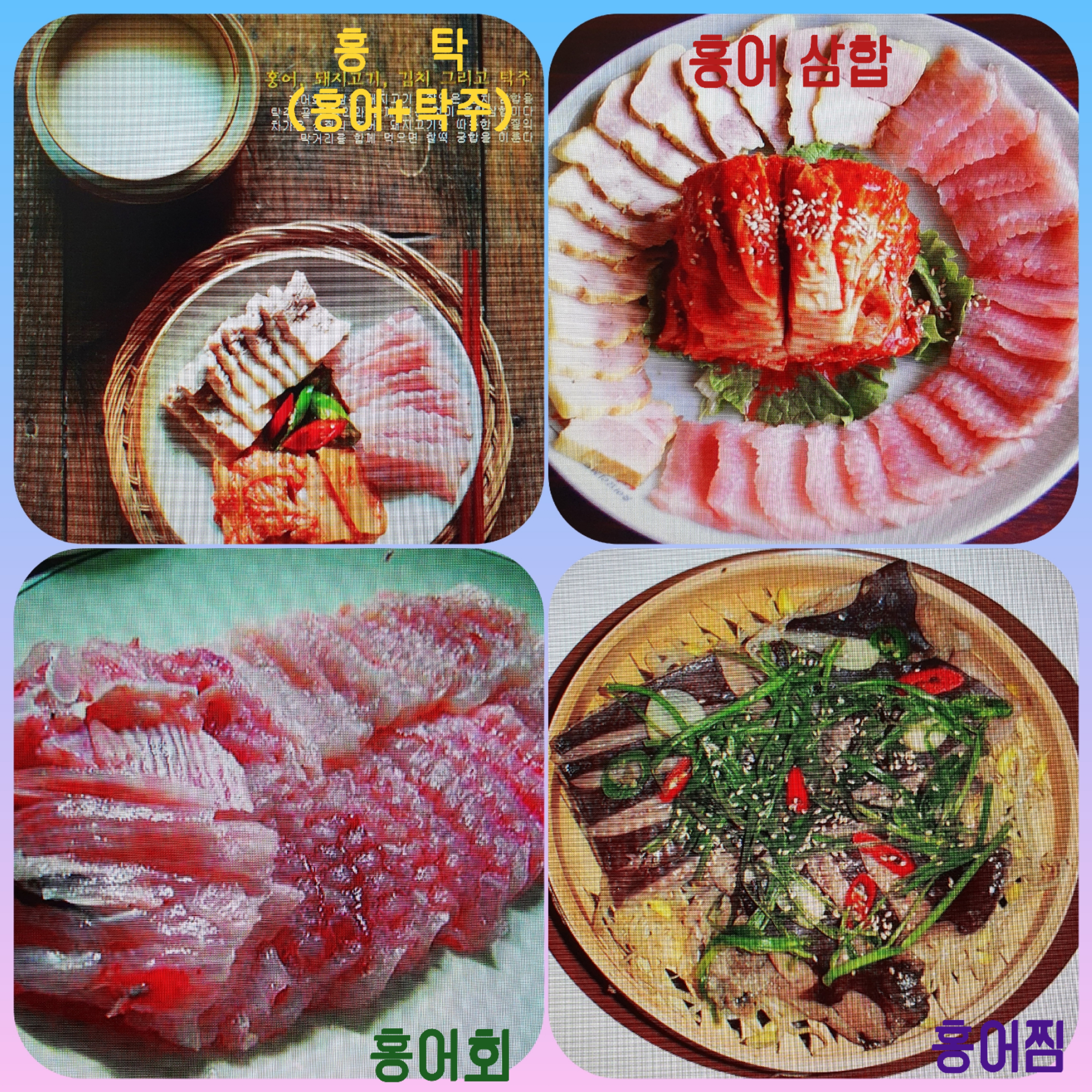 17화 홍어와 가오리, 간재미 알아요?