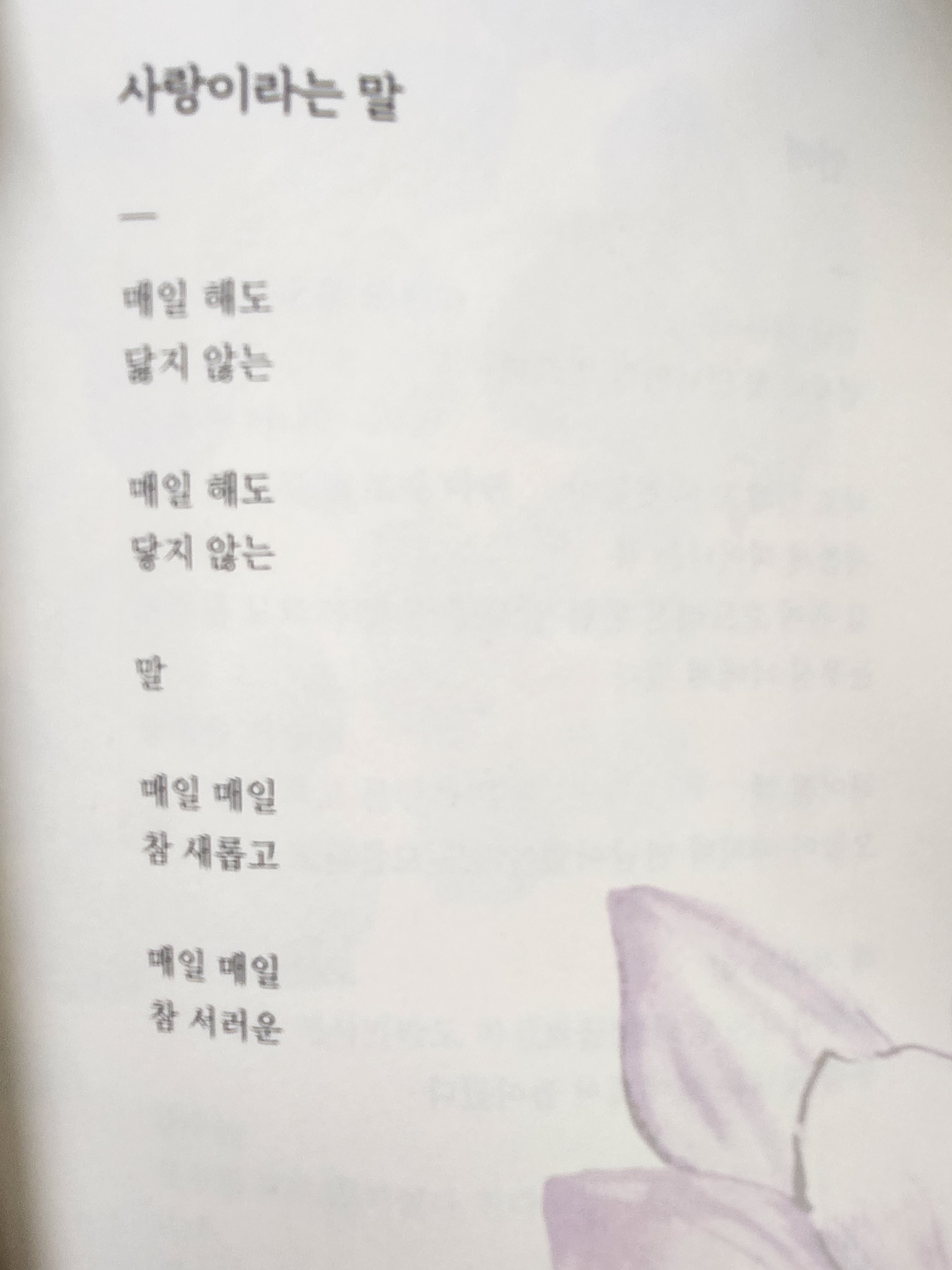 너의봄날 이미지