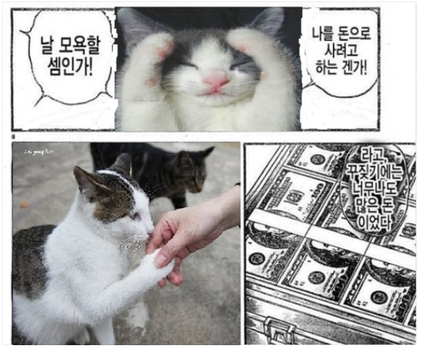 태세전환 이미지