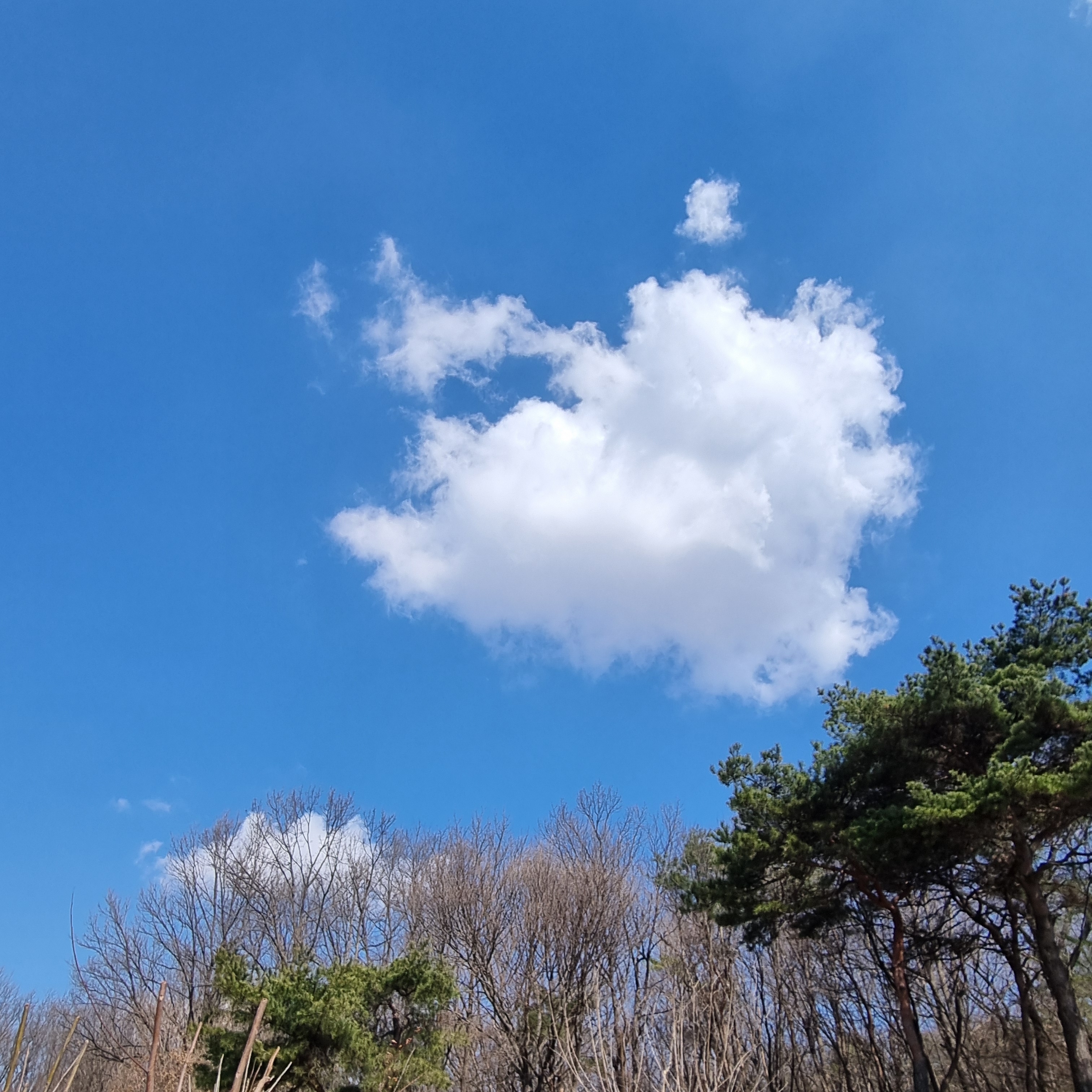 토토다방 이미지