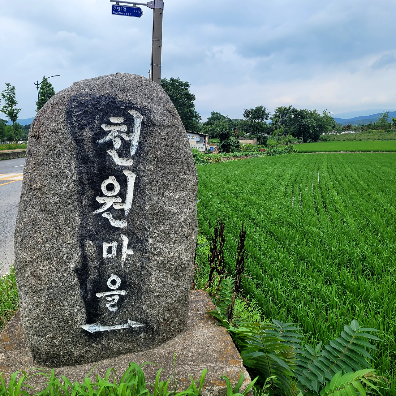 사춘기 아들과 경주 여행, 쉽지 않네요.