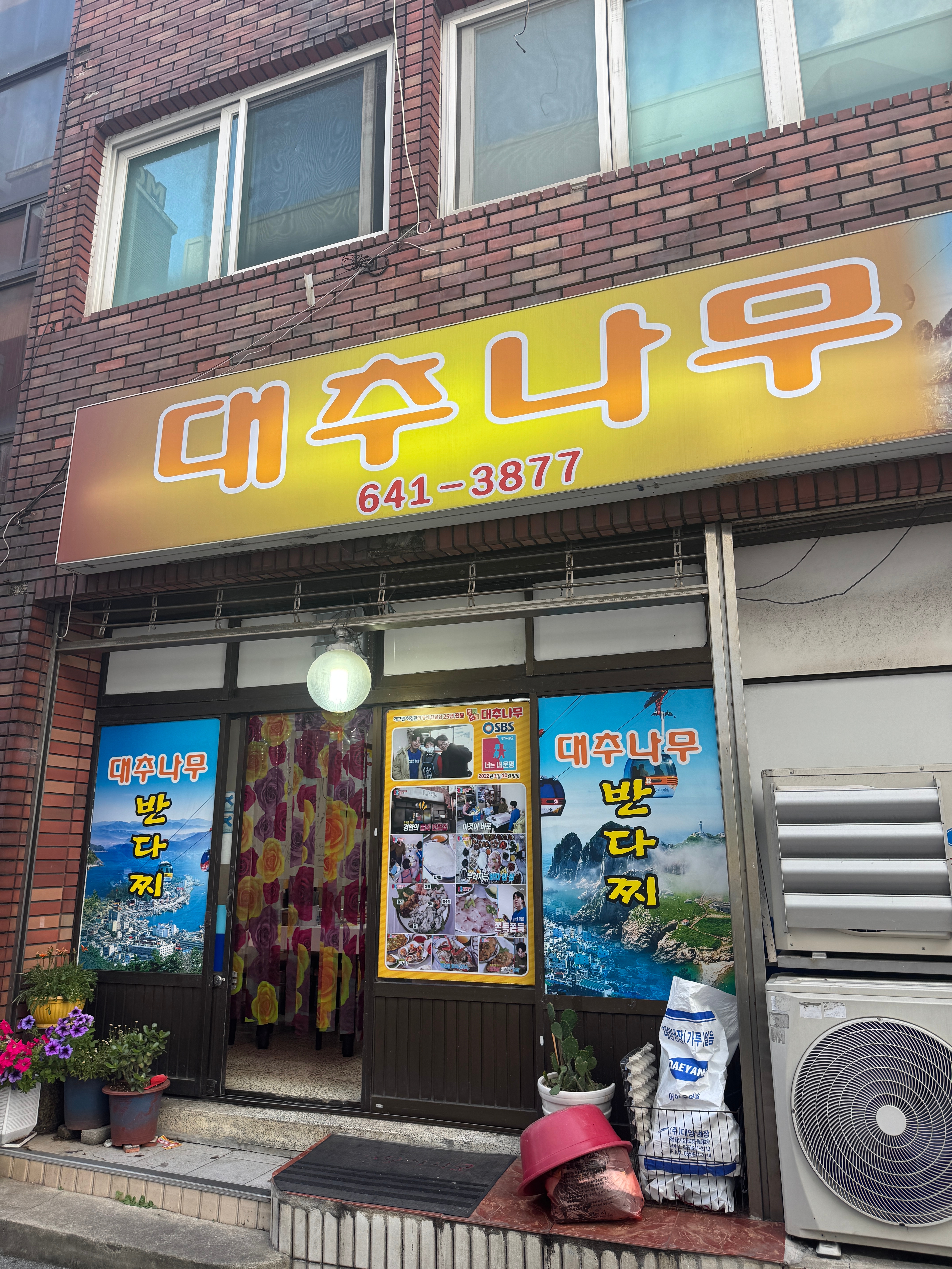 Daechunamu 3