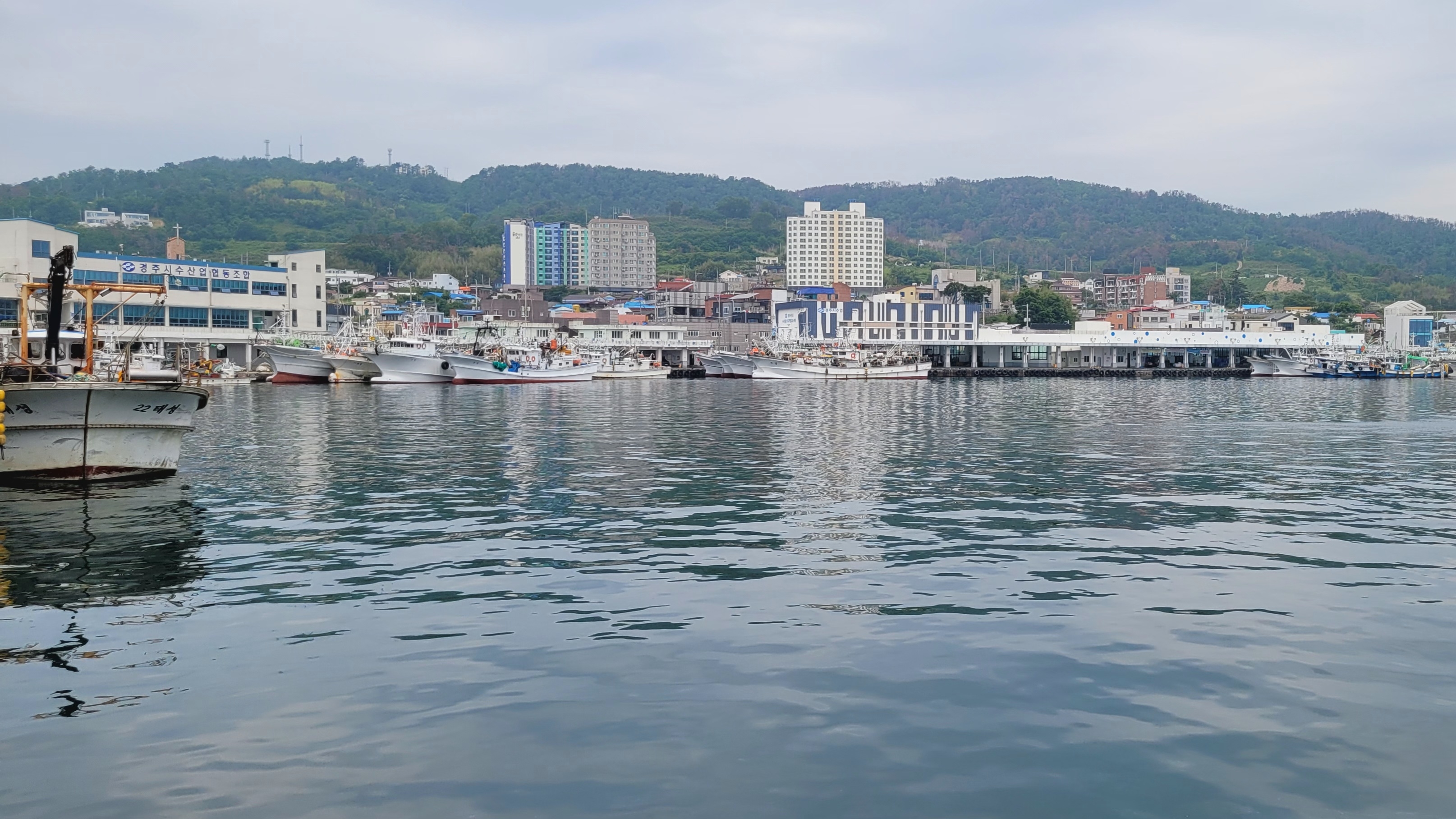 수산업협동조합제빙냉동공장 이미지