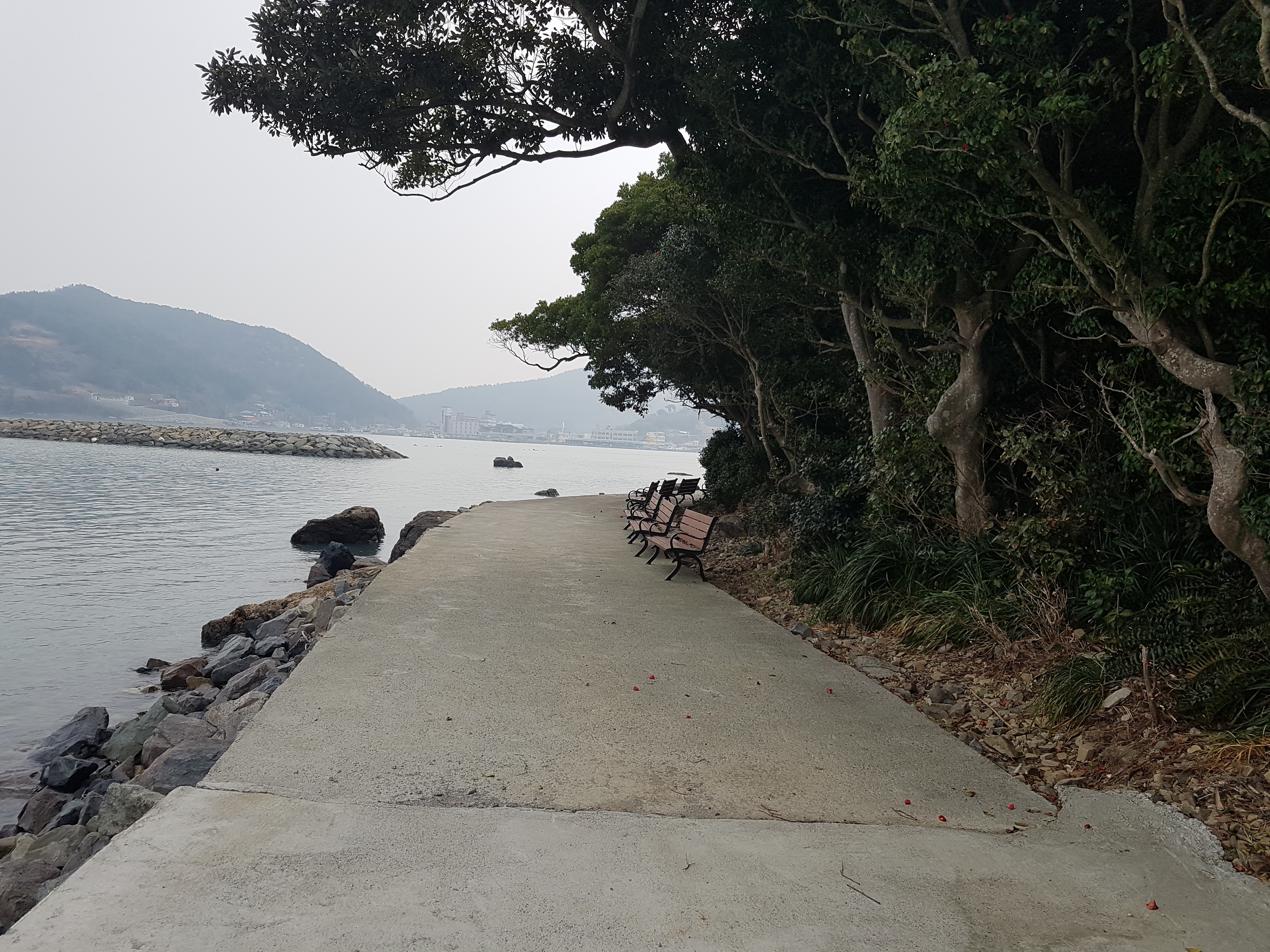 쑥섬이야기(35)