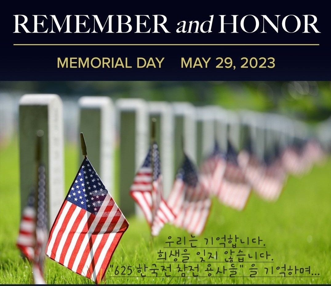 소리 없는 아우성, 태극기가 흔들릴 때