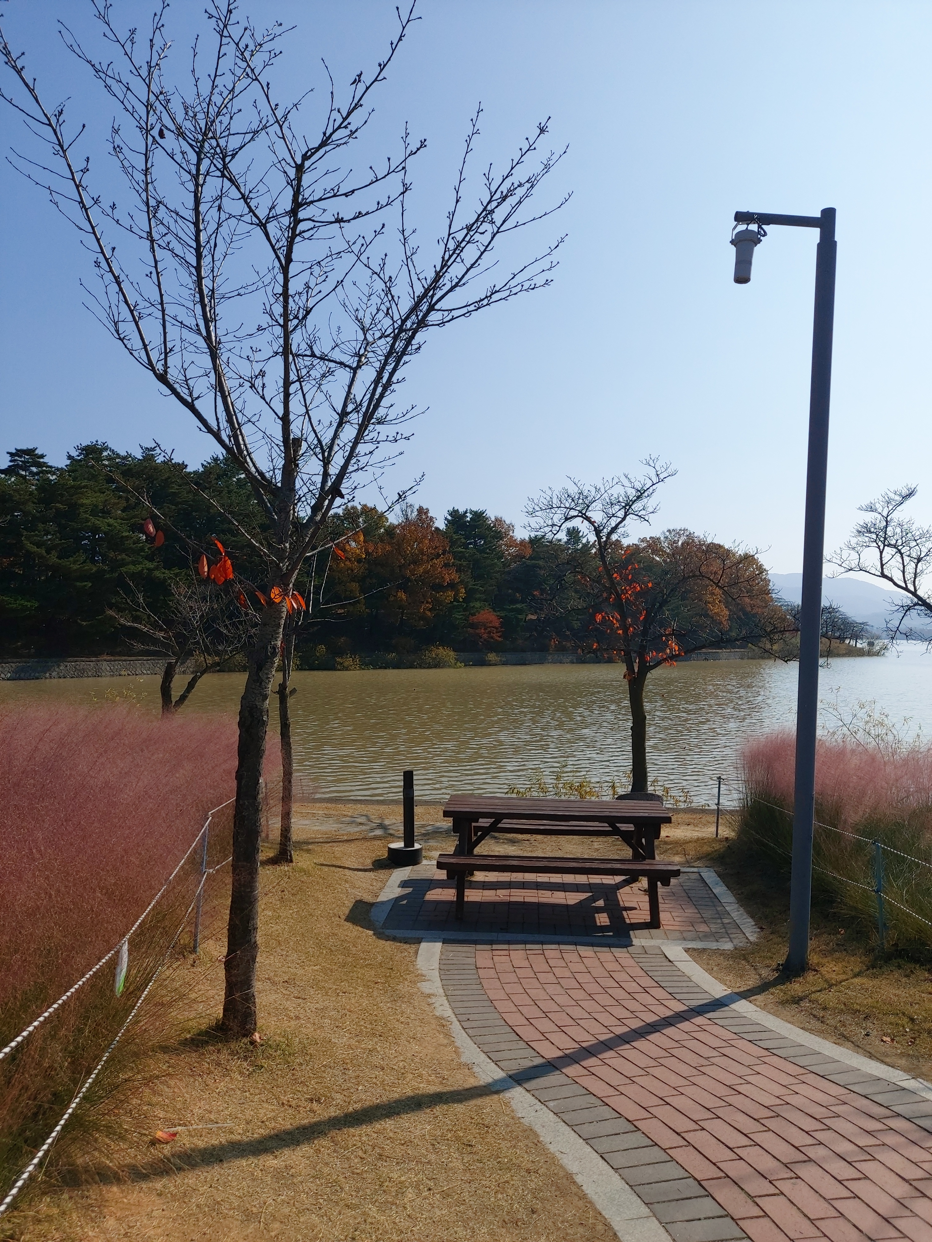 차와사람 이미지