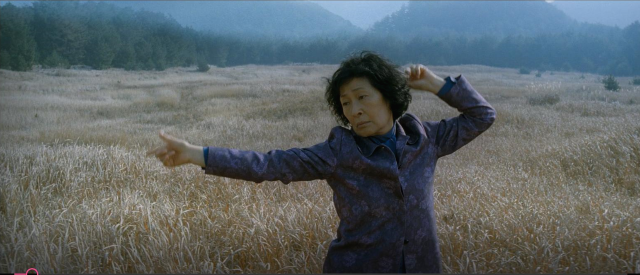 마더> 왜곡된 모성애와 오이디푸스 콤플렉스