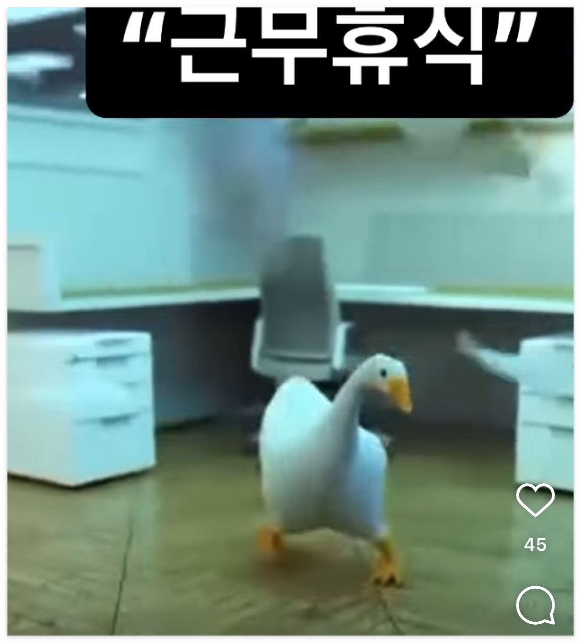 돼장갈비찜 이미지