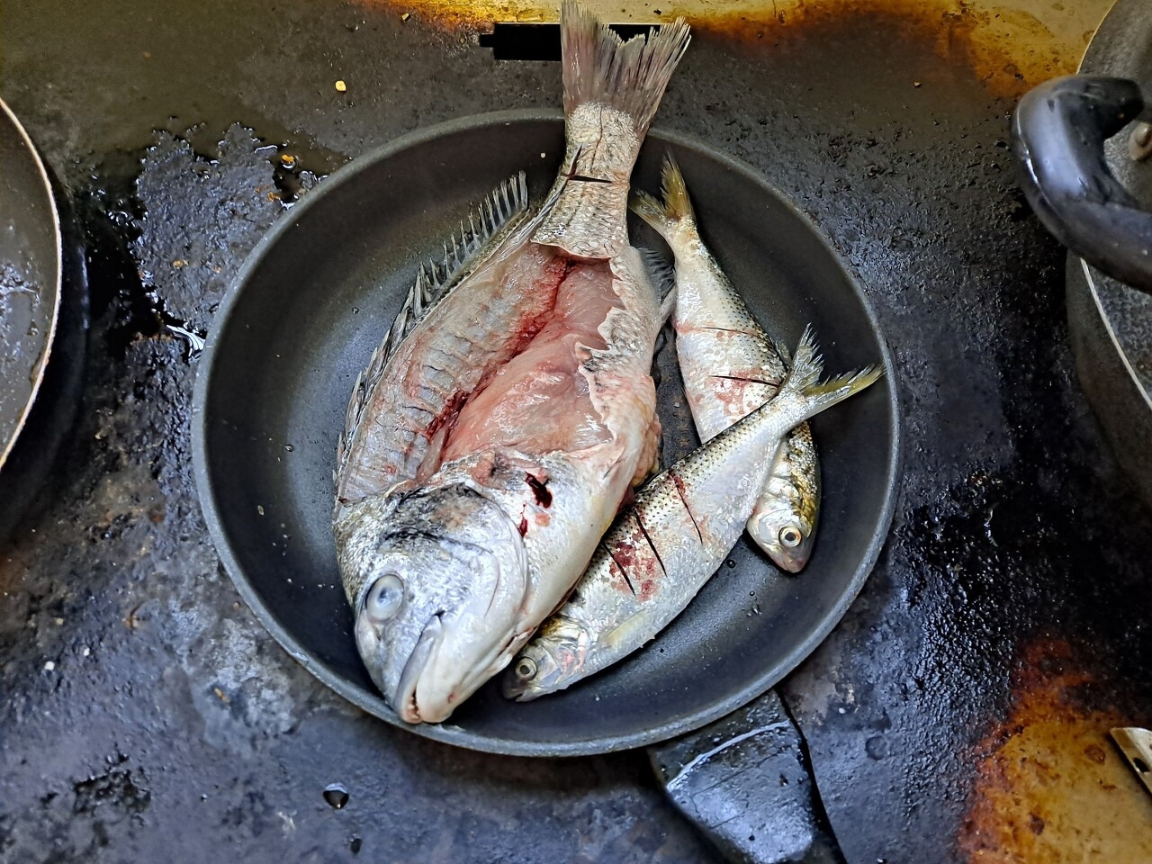 보물섬 진도가 내준 봄 밥상에 술 한잔?