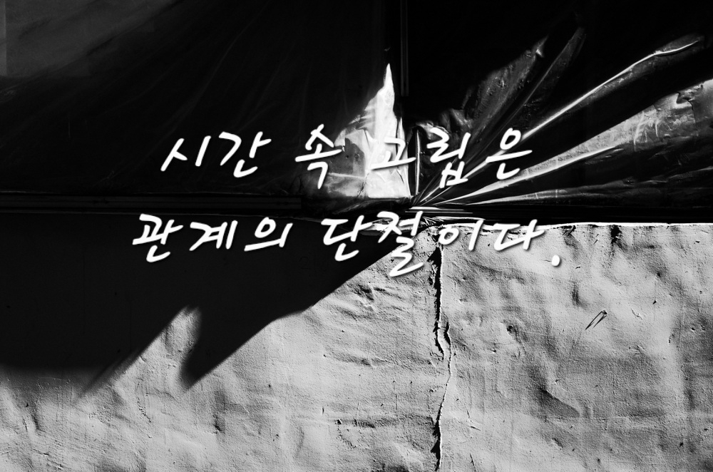 사랑라이프 이미지